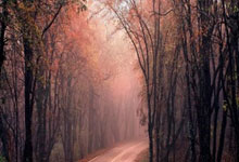 勇士队新赛季墨尔本联赛水火箭