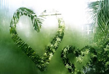 老鹰队华府双卫本季表现逐渐提升