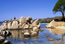 雄鹿队韦德重返球场圆满结束生涯