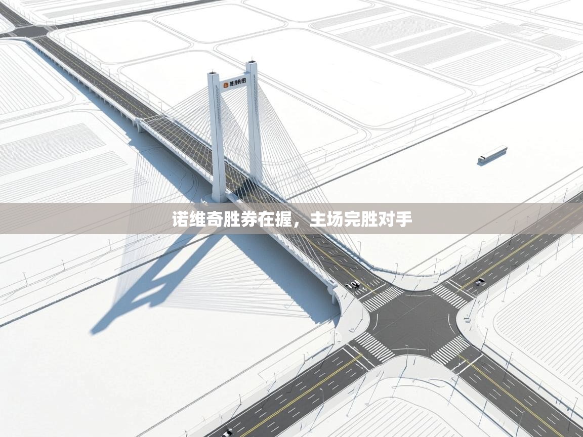 诺维奇胜券在握，主场完胜对手  第1张