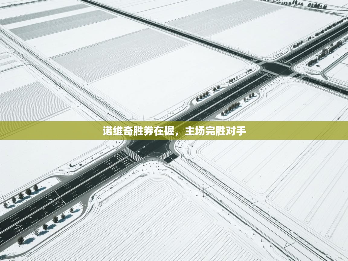 诺维奇胜券在握，主场完胜对手  第2张