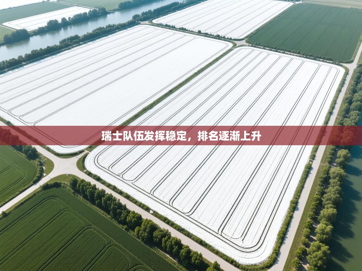 瑞士队伍发挥稳定，排名逐渐上升  第2张