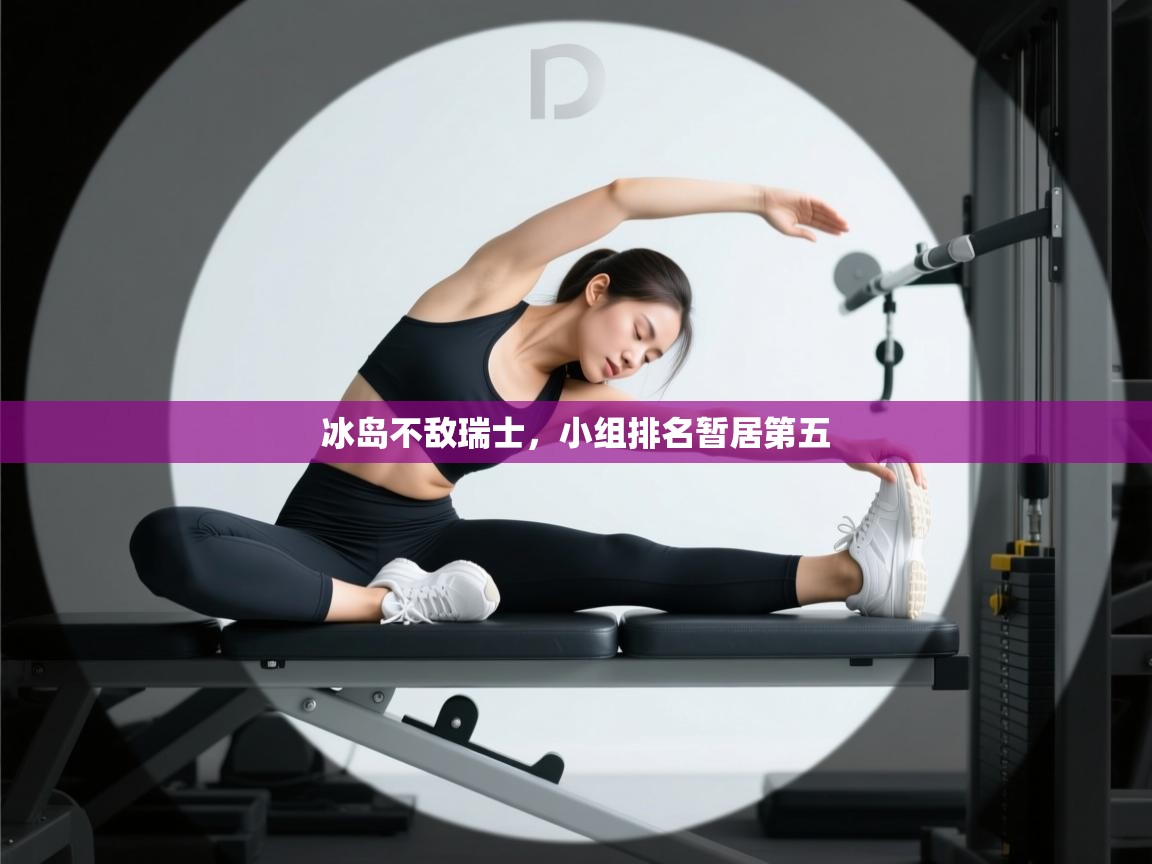 冰岛不敌瑞士，小组排名暂居第五