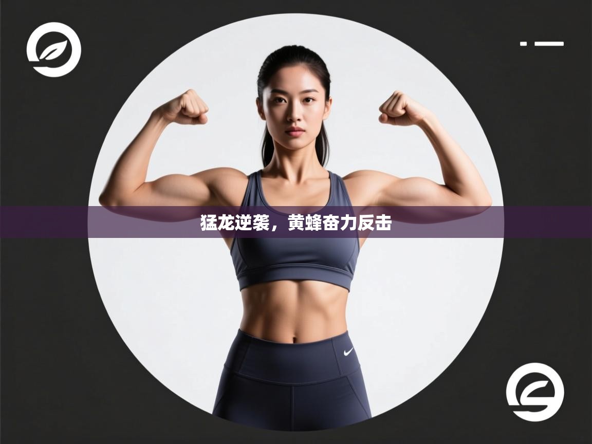 猛龙逆袭,黄蜂奋力反击 第1张