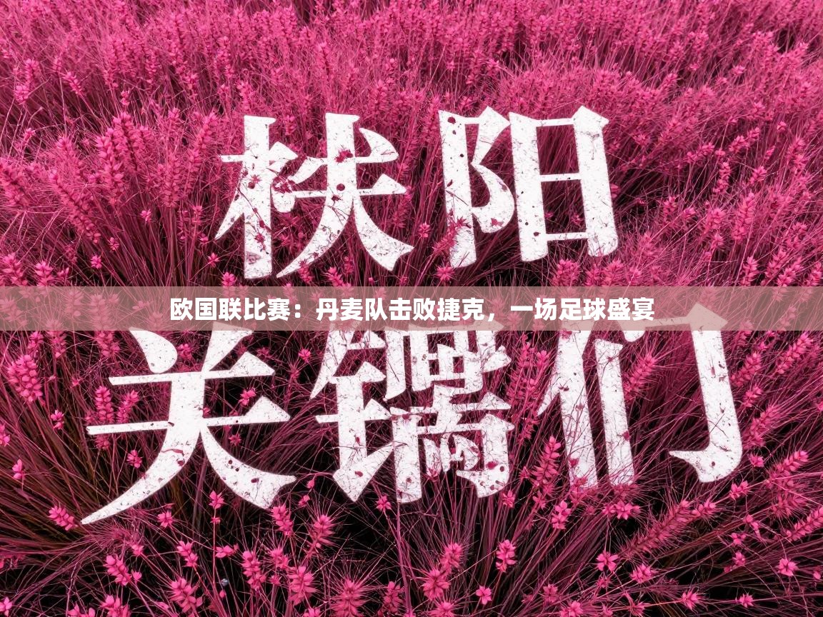 欧国联比赛:丹麦队击败捷克,一场足球盛宴